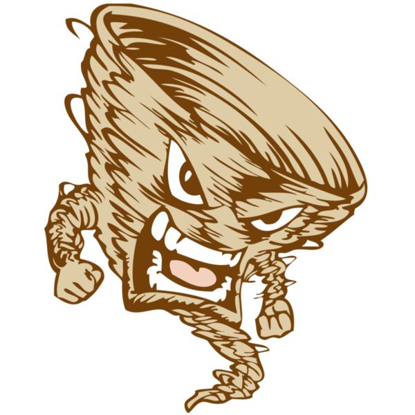 BAW STORM 10 RC Thumbnail